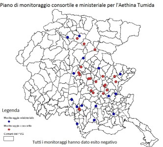 monitoraggio